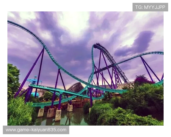 创新的真人现场娱乐城玩法设计，让玩家体验到前所未有的刺激与激情